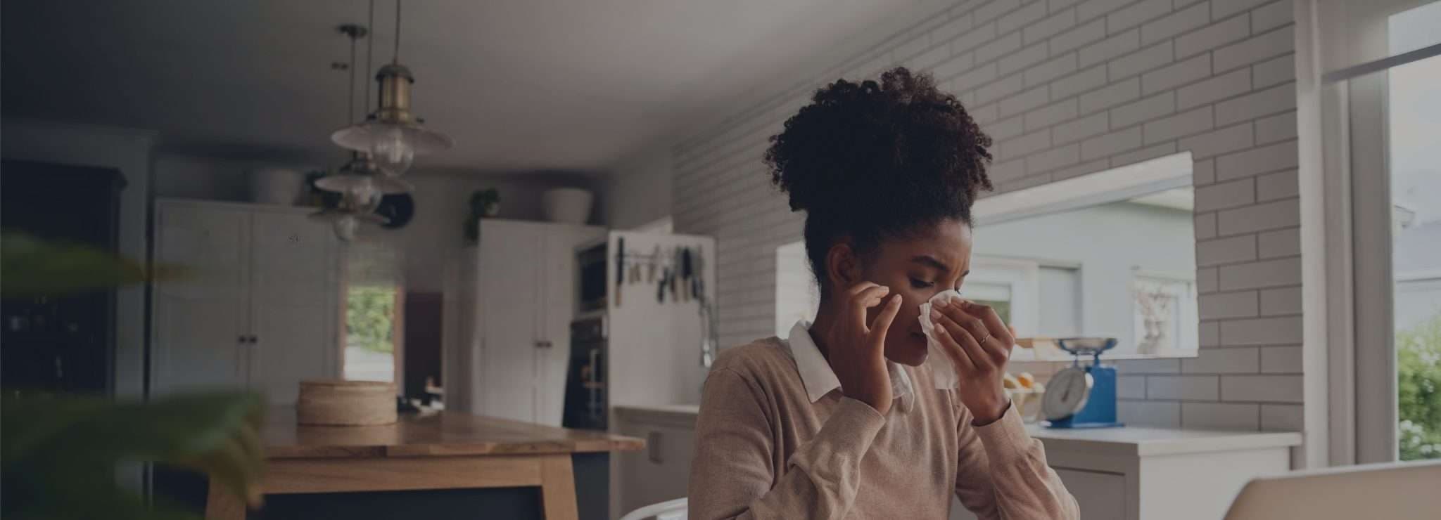 About Mold Inspectors